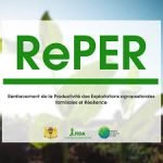 RePER